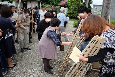 イメージ 5