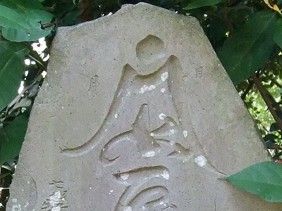 イメージ 8